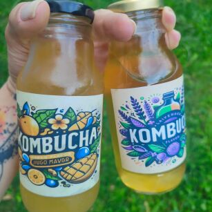 Kombucha Mango
